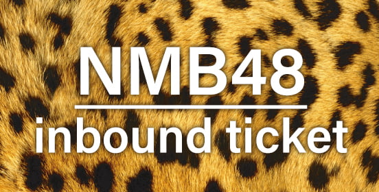 NMB48 inbound ticket